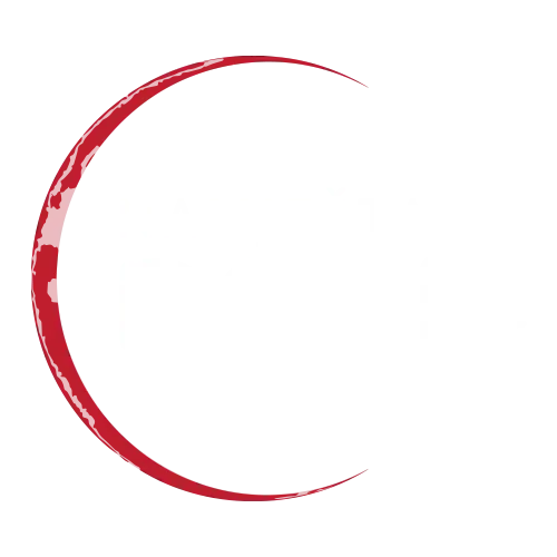 Nam deni logo